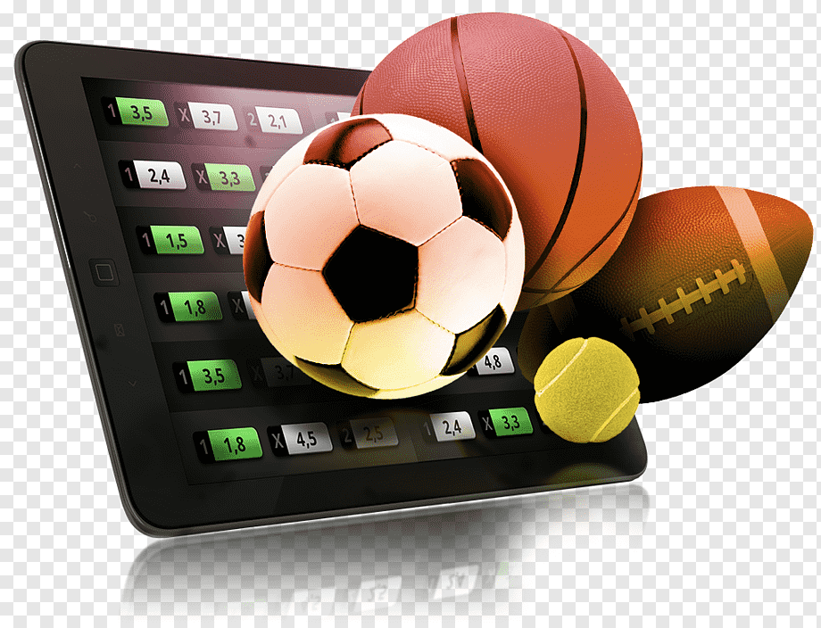 How to Bet on Horse Races Online 4
